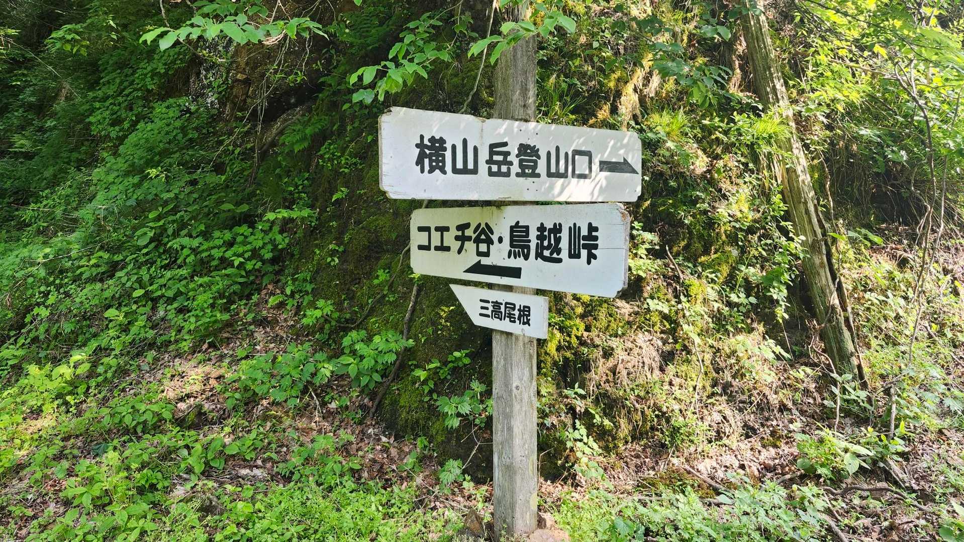 本流コースが一番登りごたえがありそうやけど体調イマイチやからヤメ😅
今日は、コエチ谷コースから登ります⛰️