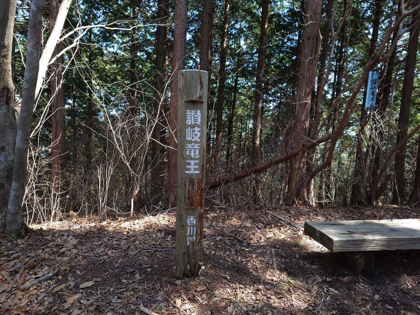 階段を登りきったすぐ先が

讃岐竜王山