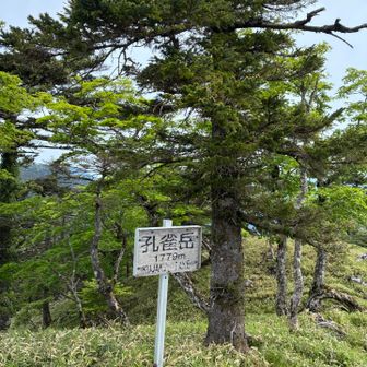 孔雀岳。