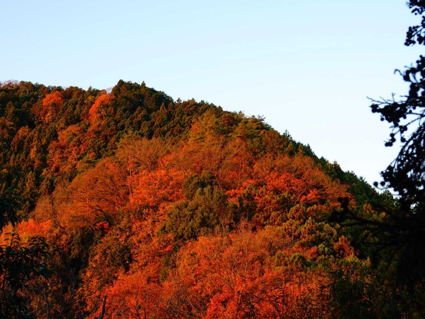 弁天山-桜山 往復コースの写真