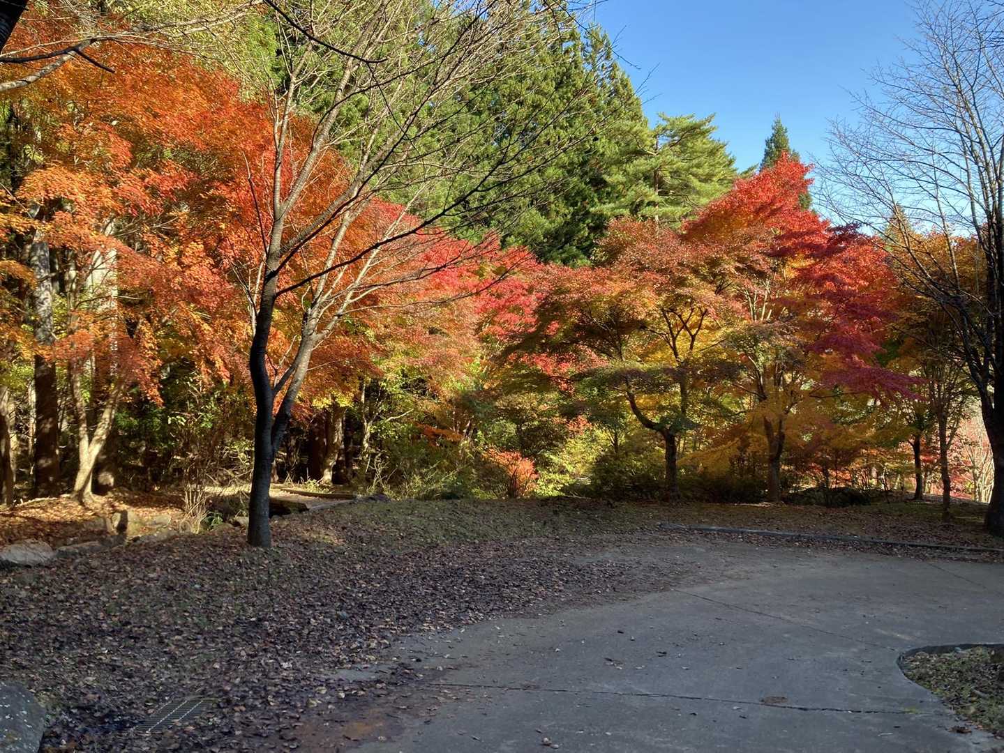 三ッ峠山登山口-三ッ峠山-三つ峠駅 縦走コースの写真