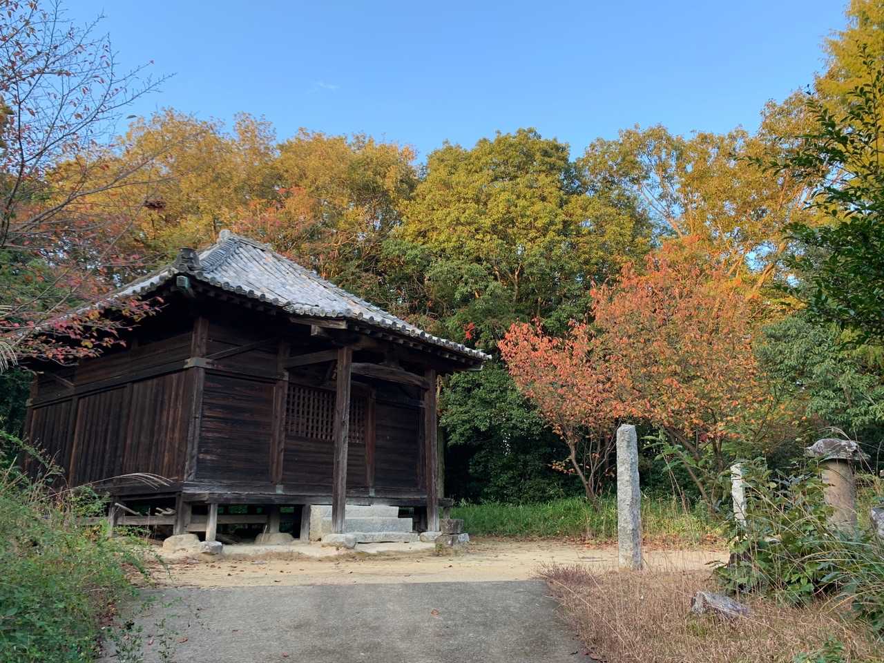 星岡山紅葉🍁
坂は走れない💦