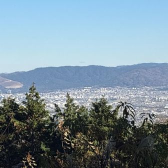 左に見えるのは若草山