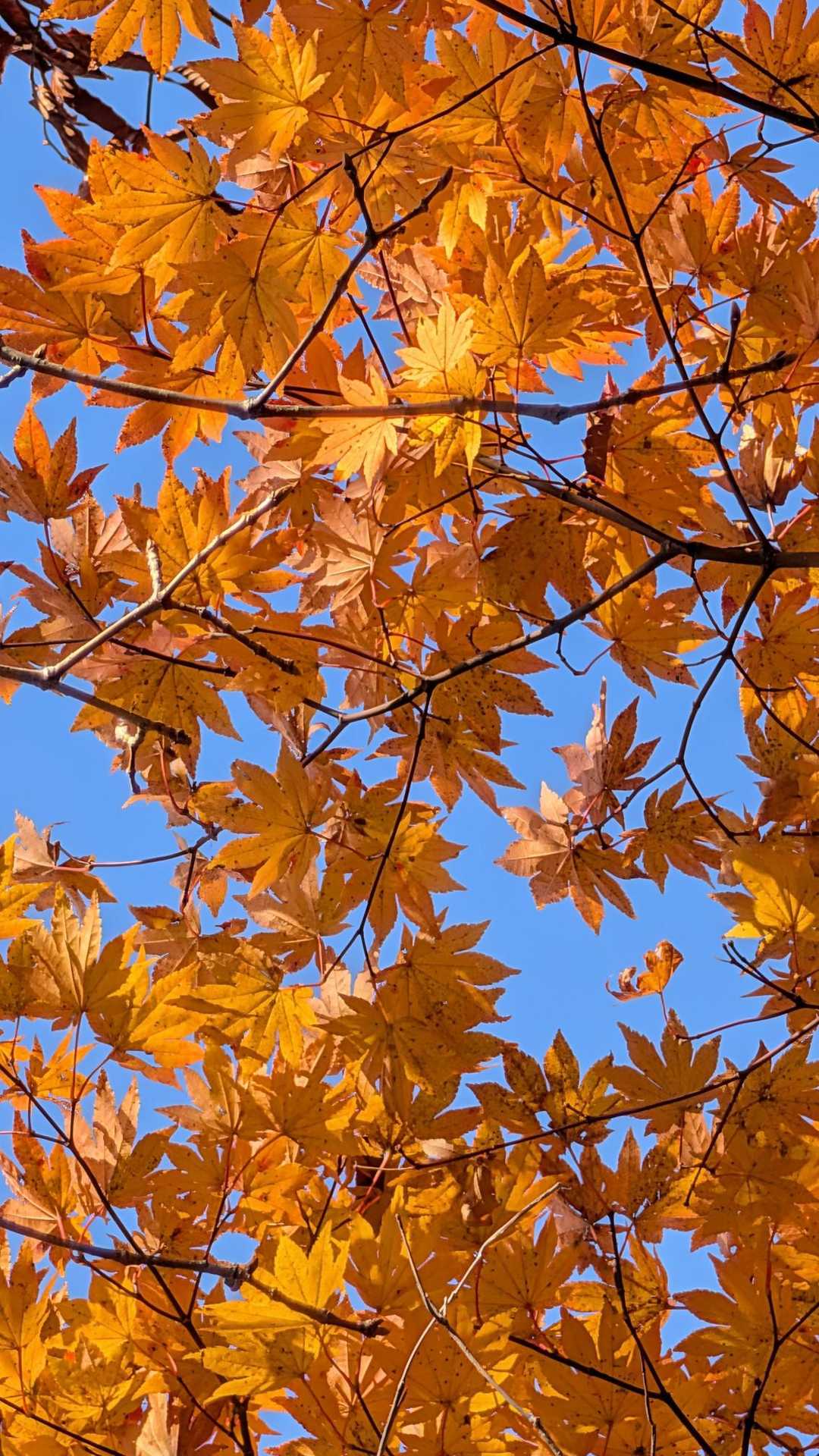 いい感じ👍