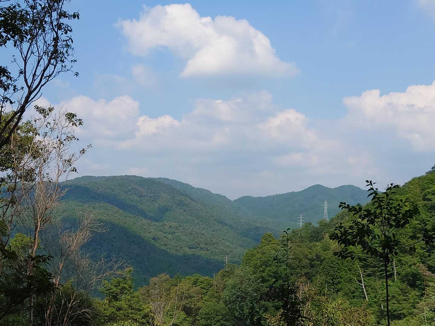 東昌寺-東の宮-猿投山 縦走コースの写真