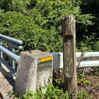 帰ってきました