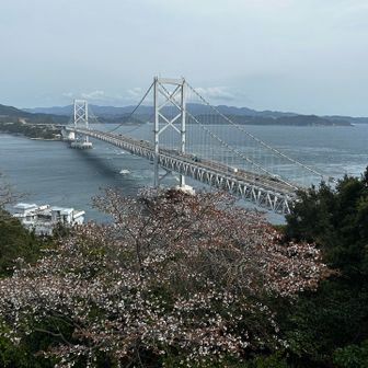 桜と橋
橋の写真ばかりですみません🙇