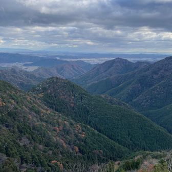 ココから激下りの始まり(｡ˇ艸ˇ)
