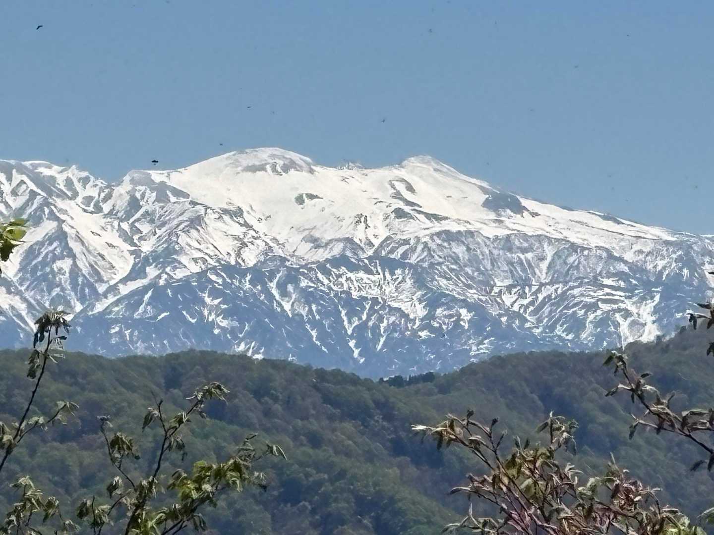 こんなに近くで白山見たのは初めてで感動〜