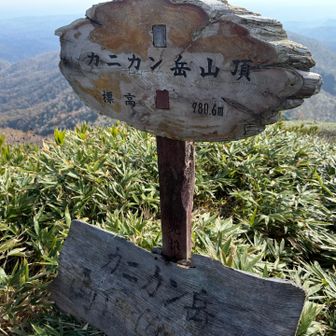 着いた🙌