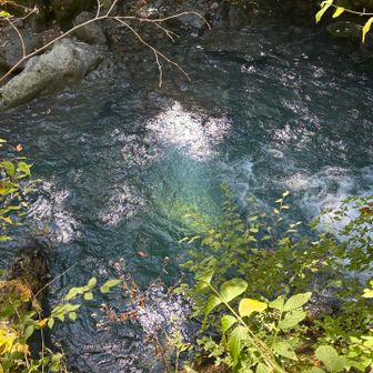 水が綺麗
さすが北アルプス