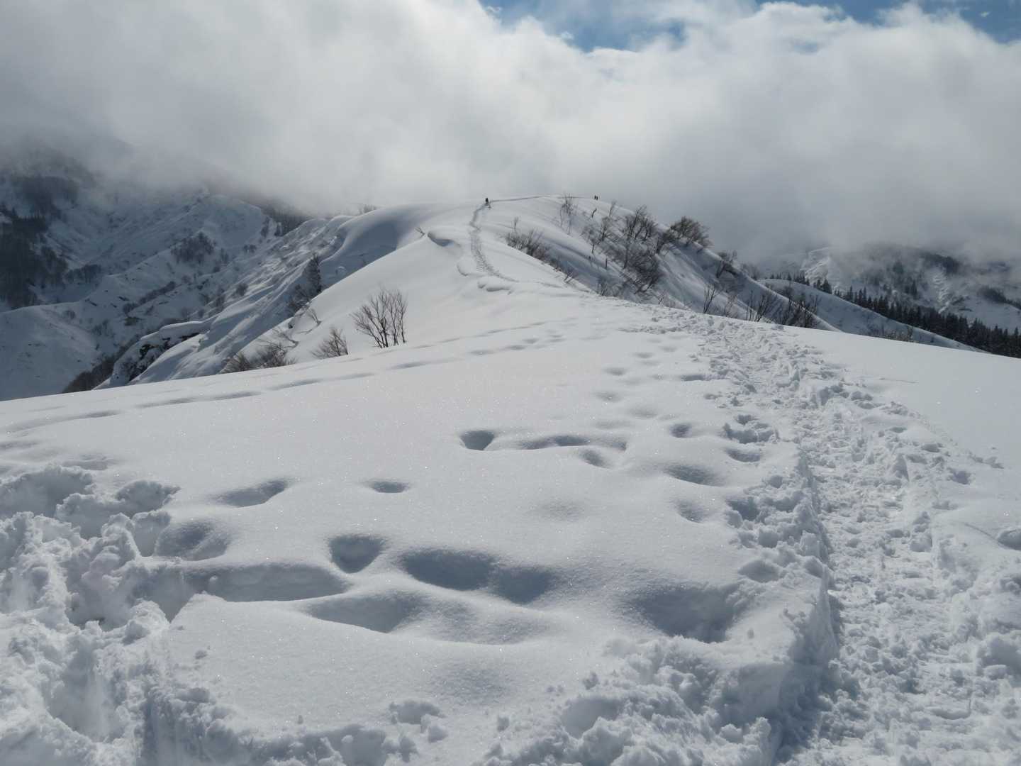 あとは山頂へ