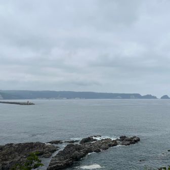 終始久慈湾を眺めながらのトレイル♬

右側に前回行った牛島🏝️
左側の防波堤の向こうには…
スタートで写真を撮った半崎の野田層群👀