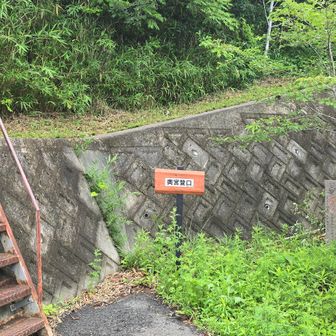 登山口　ここから登るのは初めて