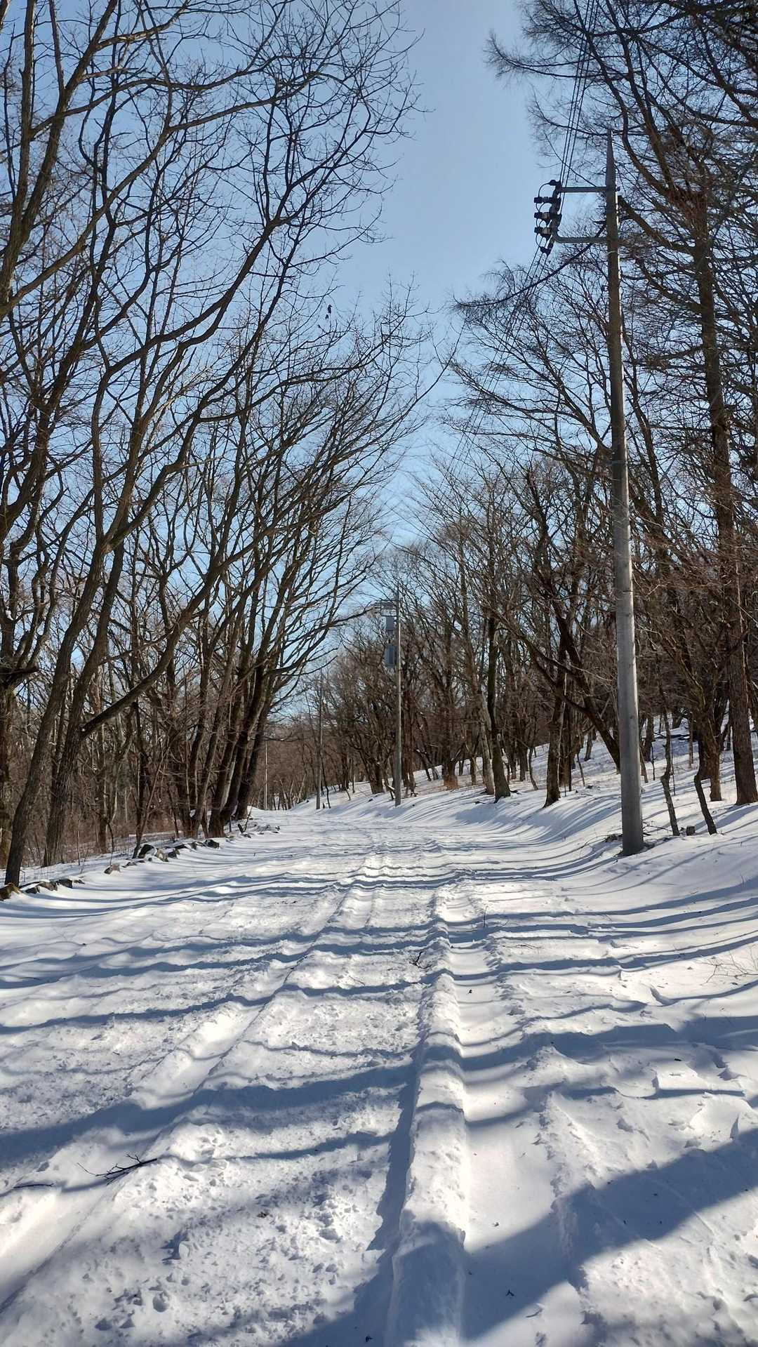 道は真っすぐだよ
迷うことはない👍