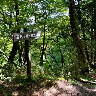 ｜至 八丁坂・五水→