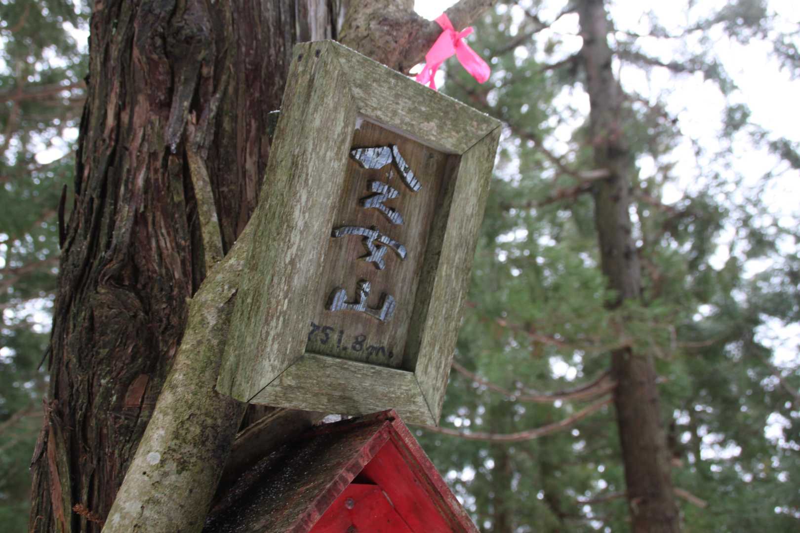 お久しぶりです、八乙女山