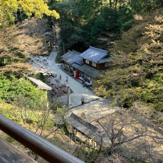 摩尼殿の上から
トムクルーズも見てただろう（ラスト・サムライ見てない）