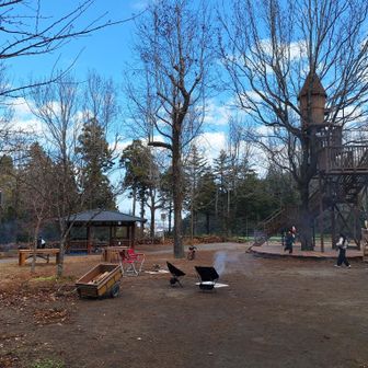 大きなツリーハウスで遊ぶ子供連れ等、多くの人で賑っていた😃