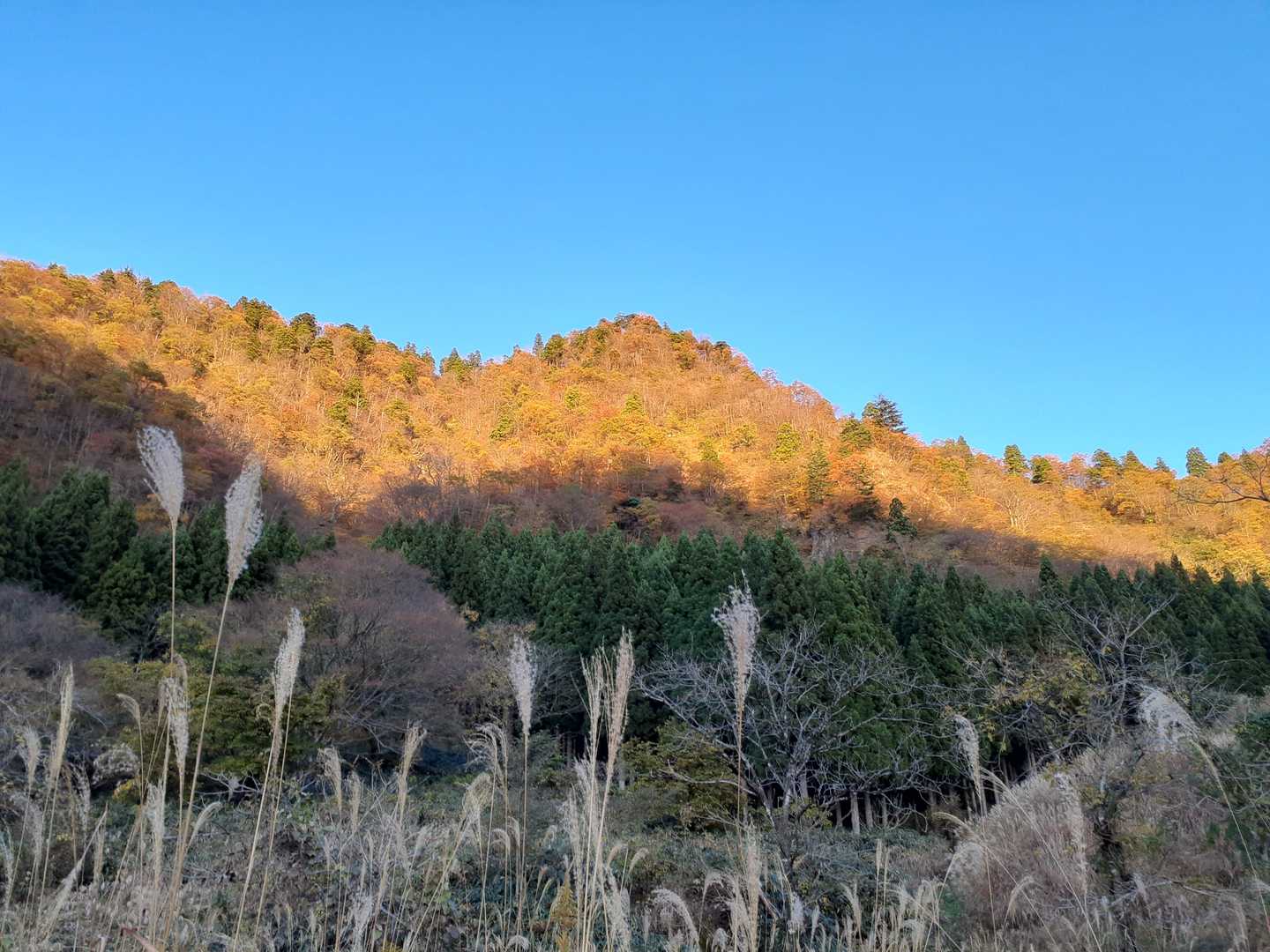 急峻な道を下山　この道を登るのは大変　修行　下山後の景色は素晴らしかった　
