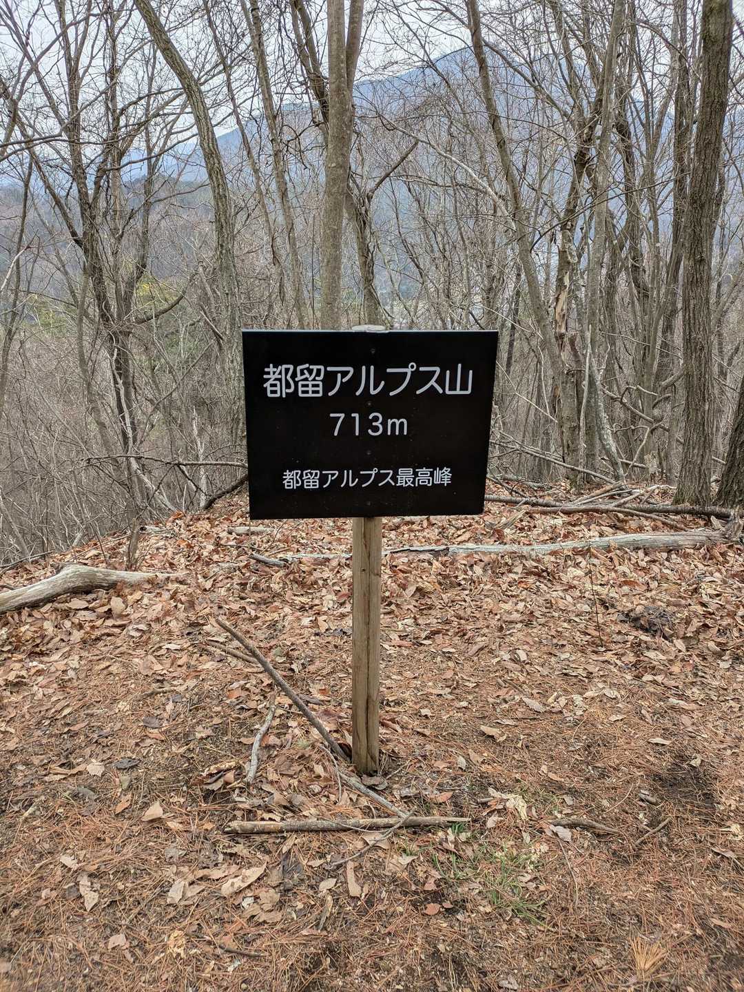 都留アルプス山に到着