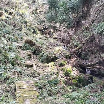 やっと登山口。でも正直怖かった