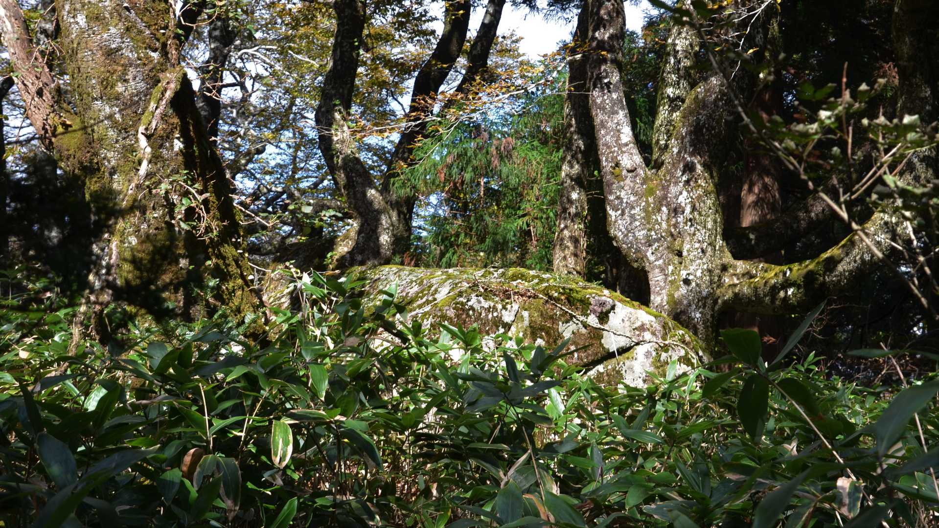 伊邪那美命（イザナミノミコト）の陵墓。
比婆山山頂
