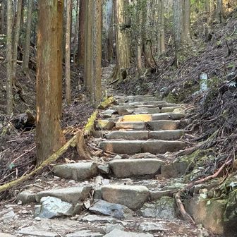 清水舎のベンチで給水しよう。🥤