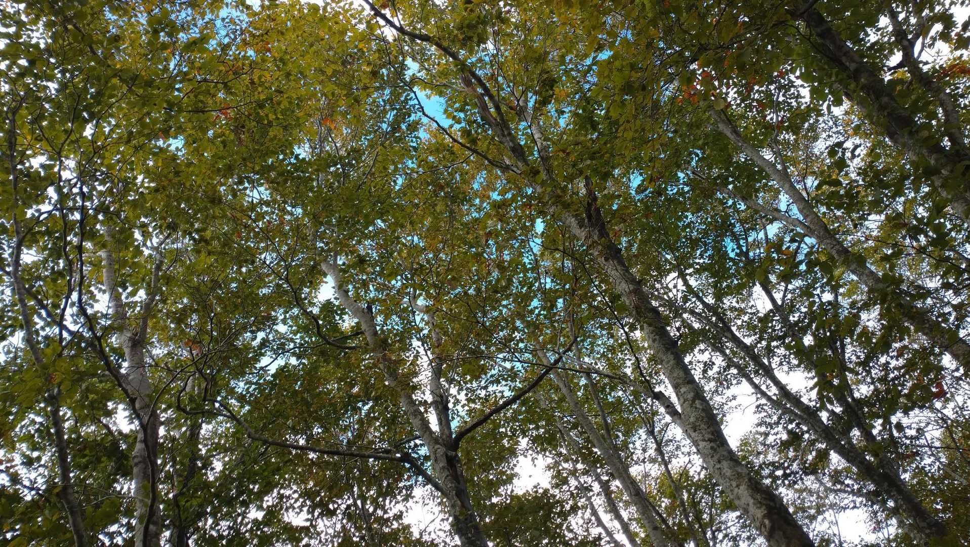 気持イイっすね。😊