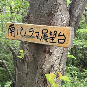一度下山し
２回目は、きぼうの道で南パノラマ展望台迄
登り返しました。💦
２回目は、只々運動目的で登っるので
写真少なめです。