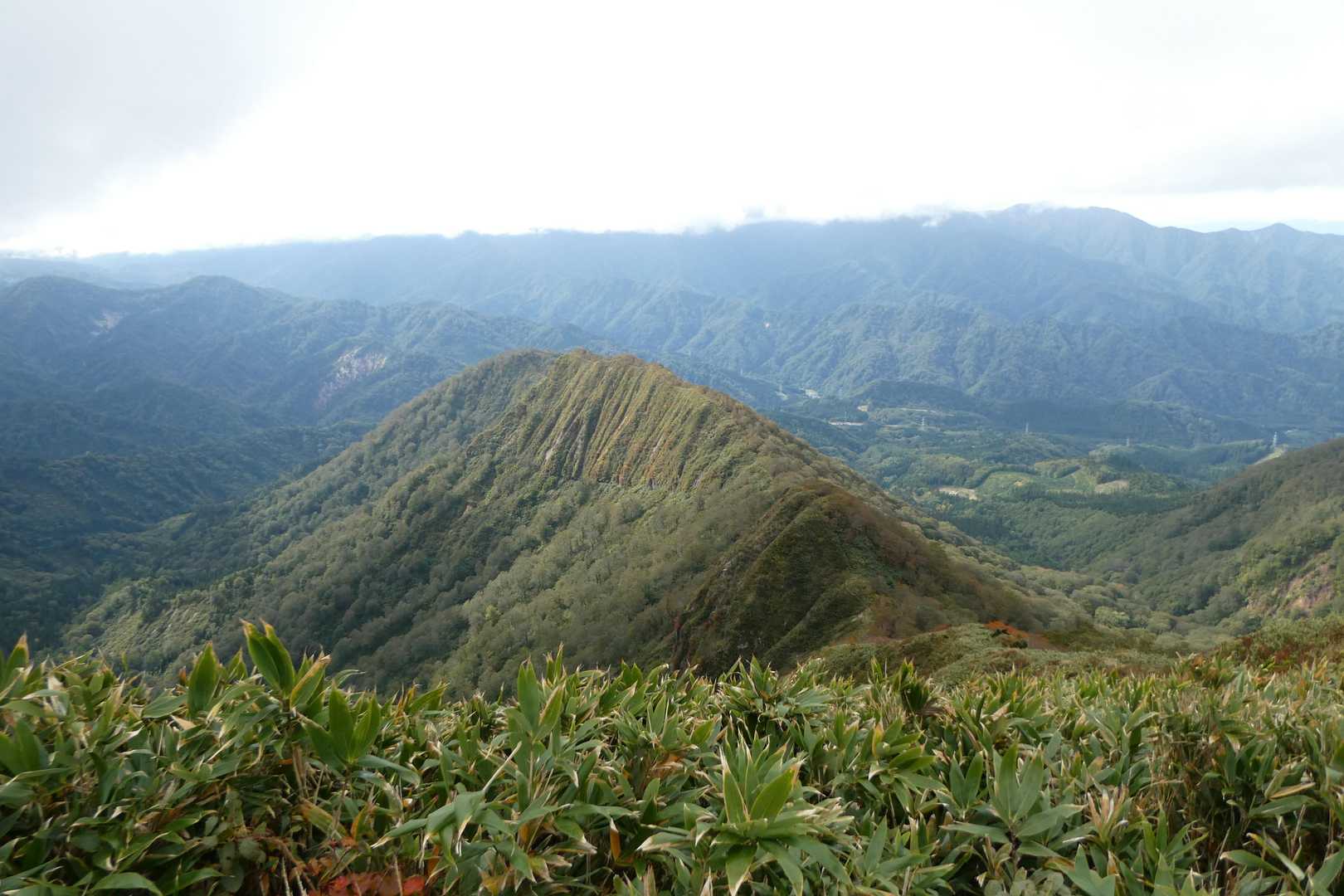 この尾根も山伏岳の登山コース。ヤブっぽい。