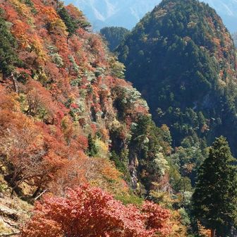 伯母谷の覗きから見ていた反対側を見たかったんですよね

このポッコリがたまりませんね