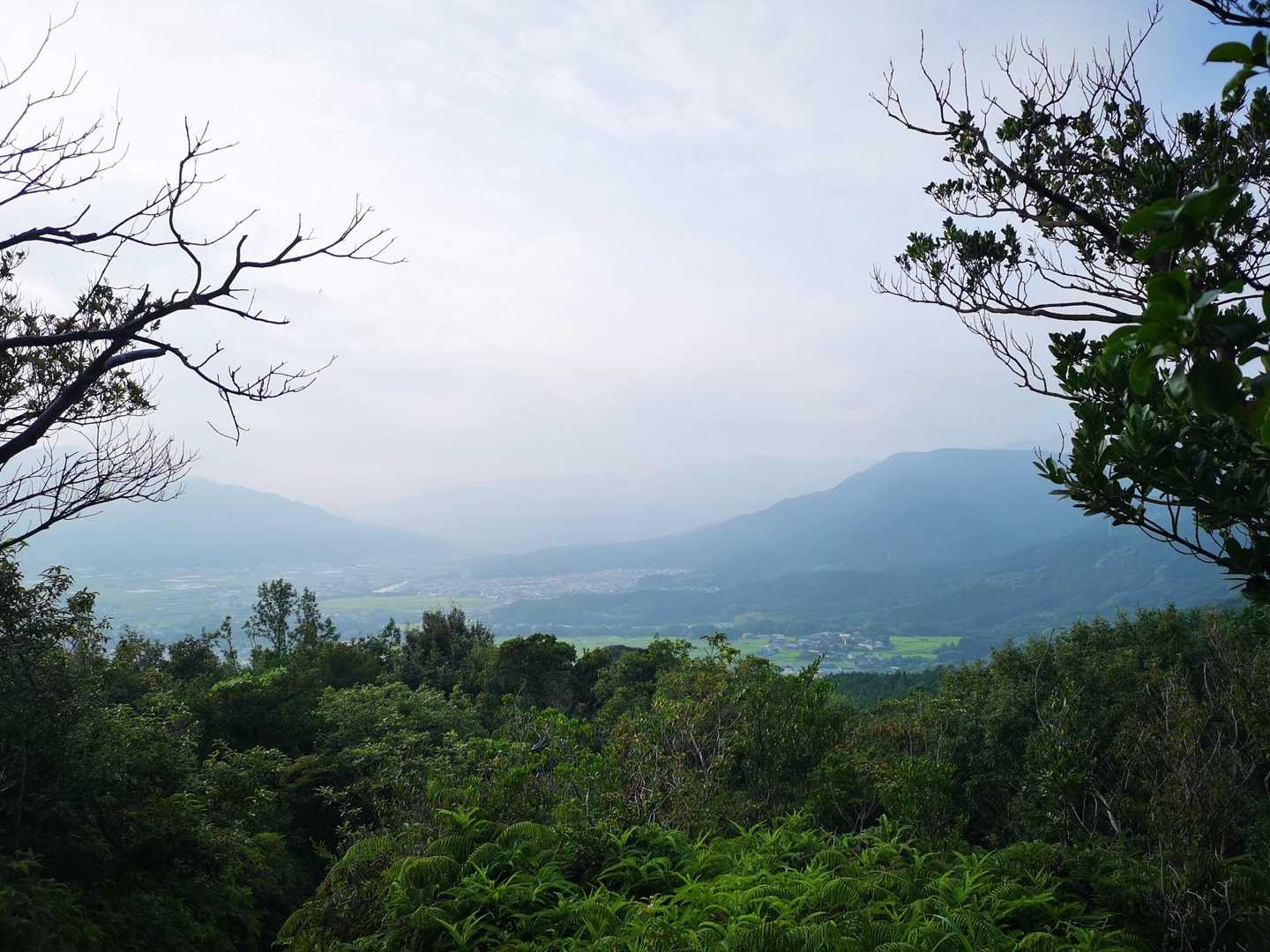 飯盛山登山道入口-飯盛山 周回コースの写真