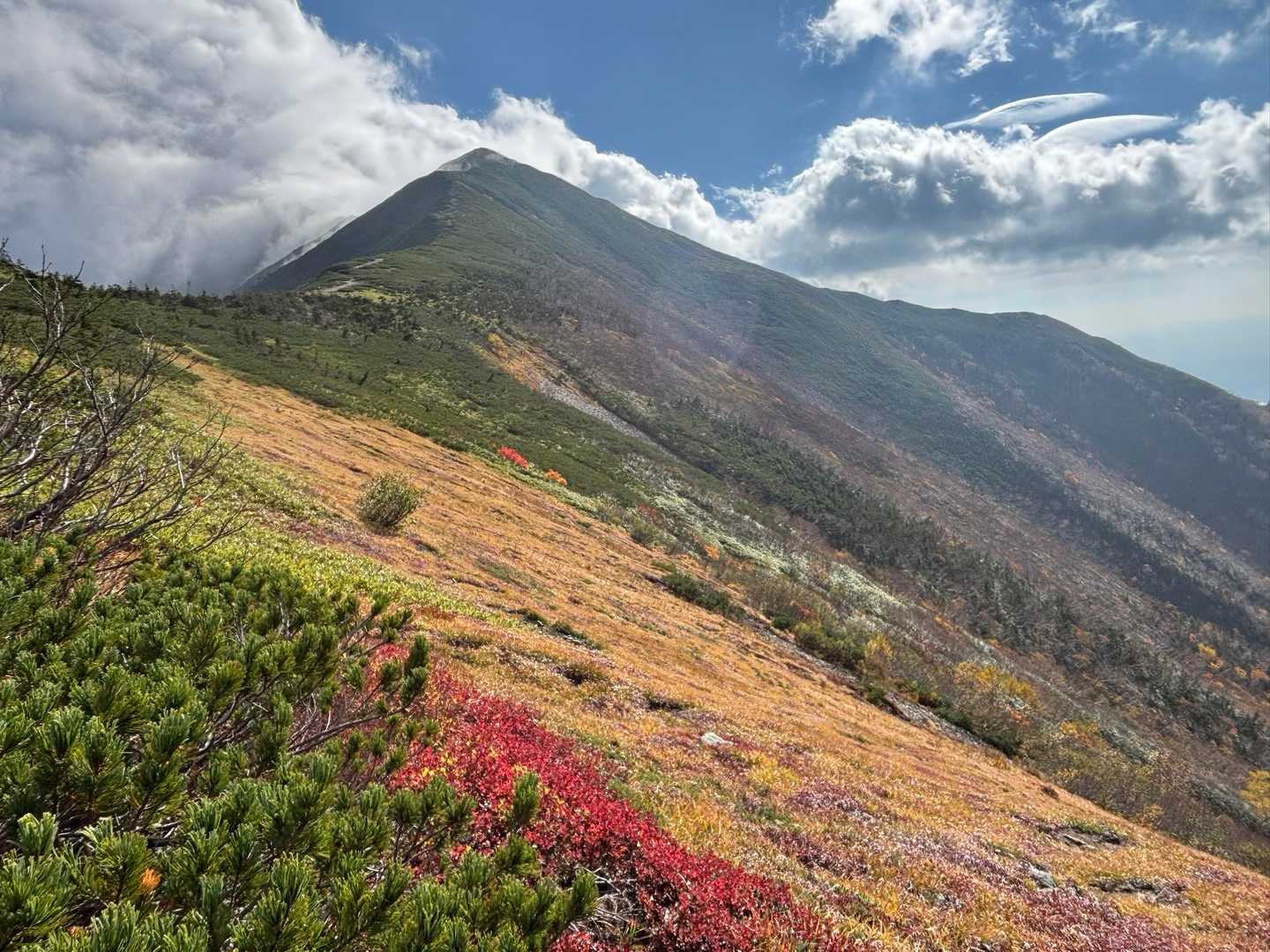 爺ヶ岳往復 | 柏原新道から稜線へ、剱岳と鹿島槍を一度に望む三峰の山の写真