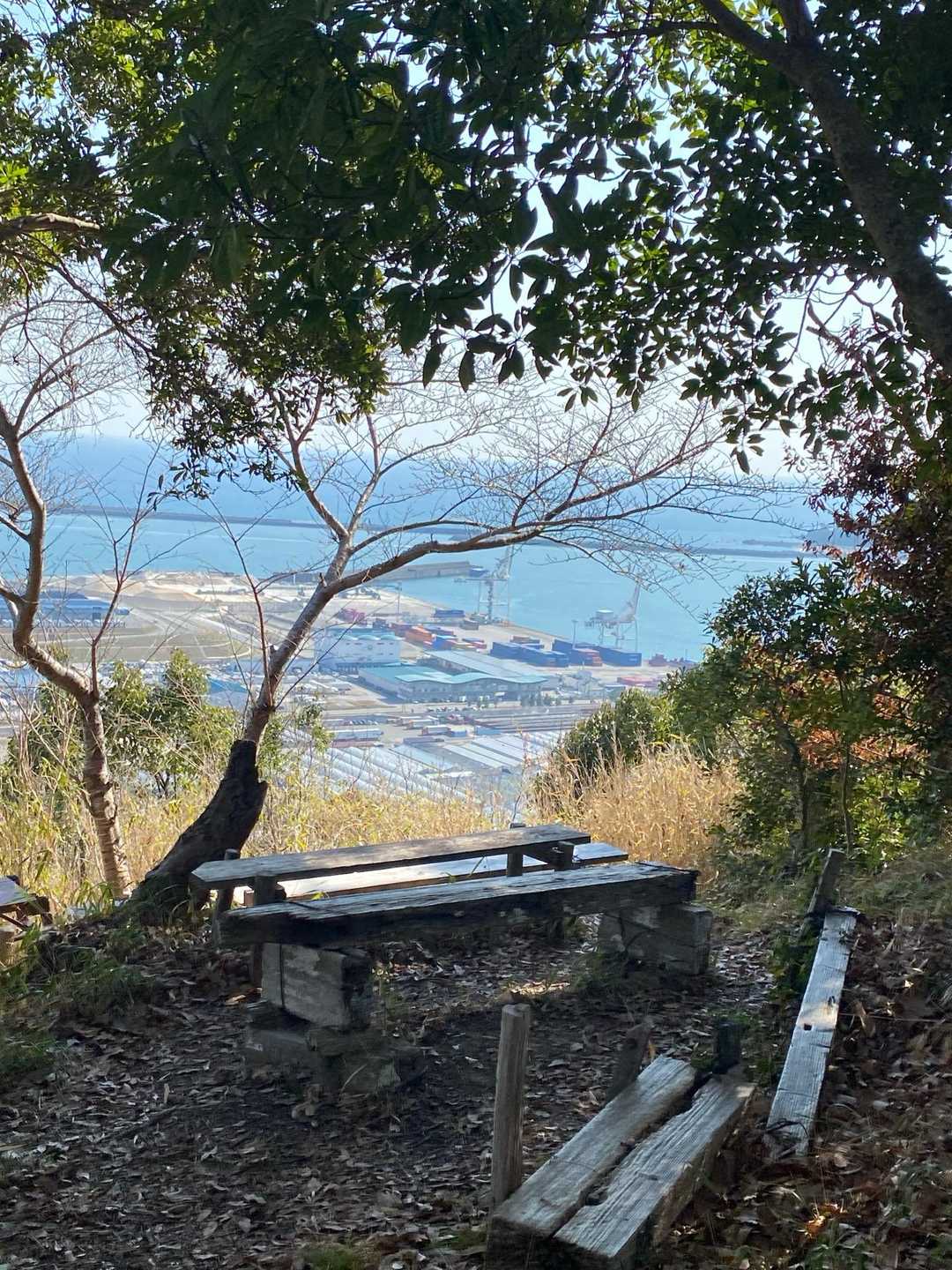 大平山登り口-大平山 往復コースの写真