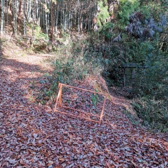 不動の滝はここを右へ