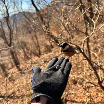 時間がないので、少しだけ