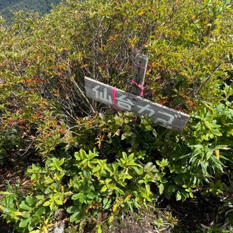 仙台カゴ山頂