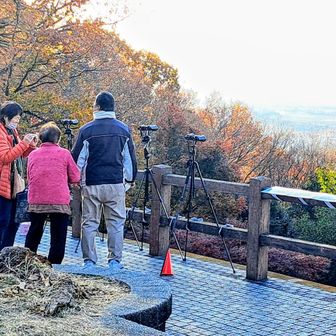 スカイツリーが見えるって❓