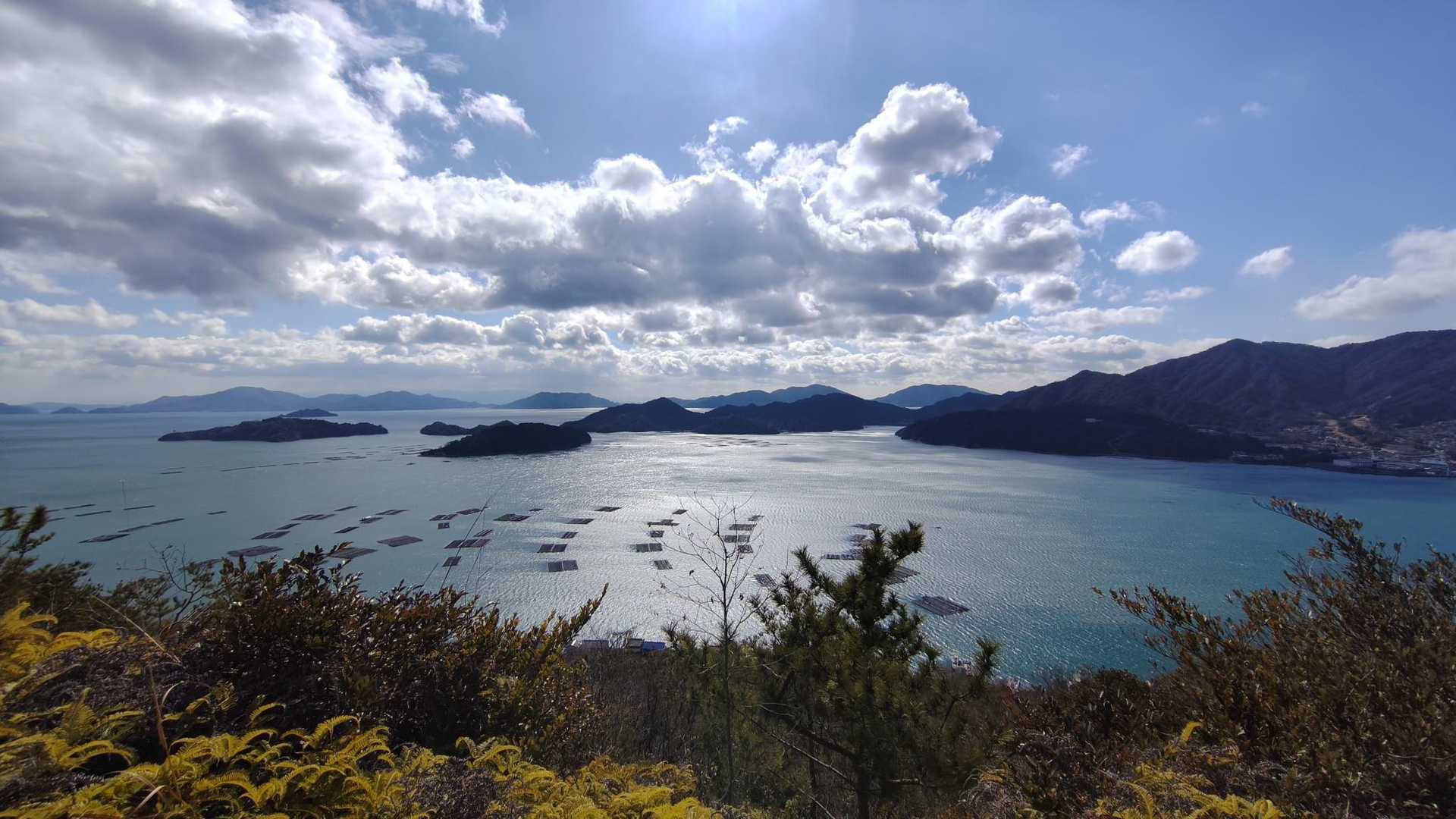 飯野山 往復コースの写真