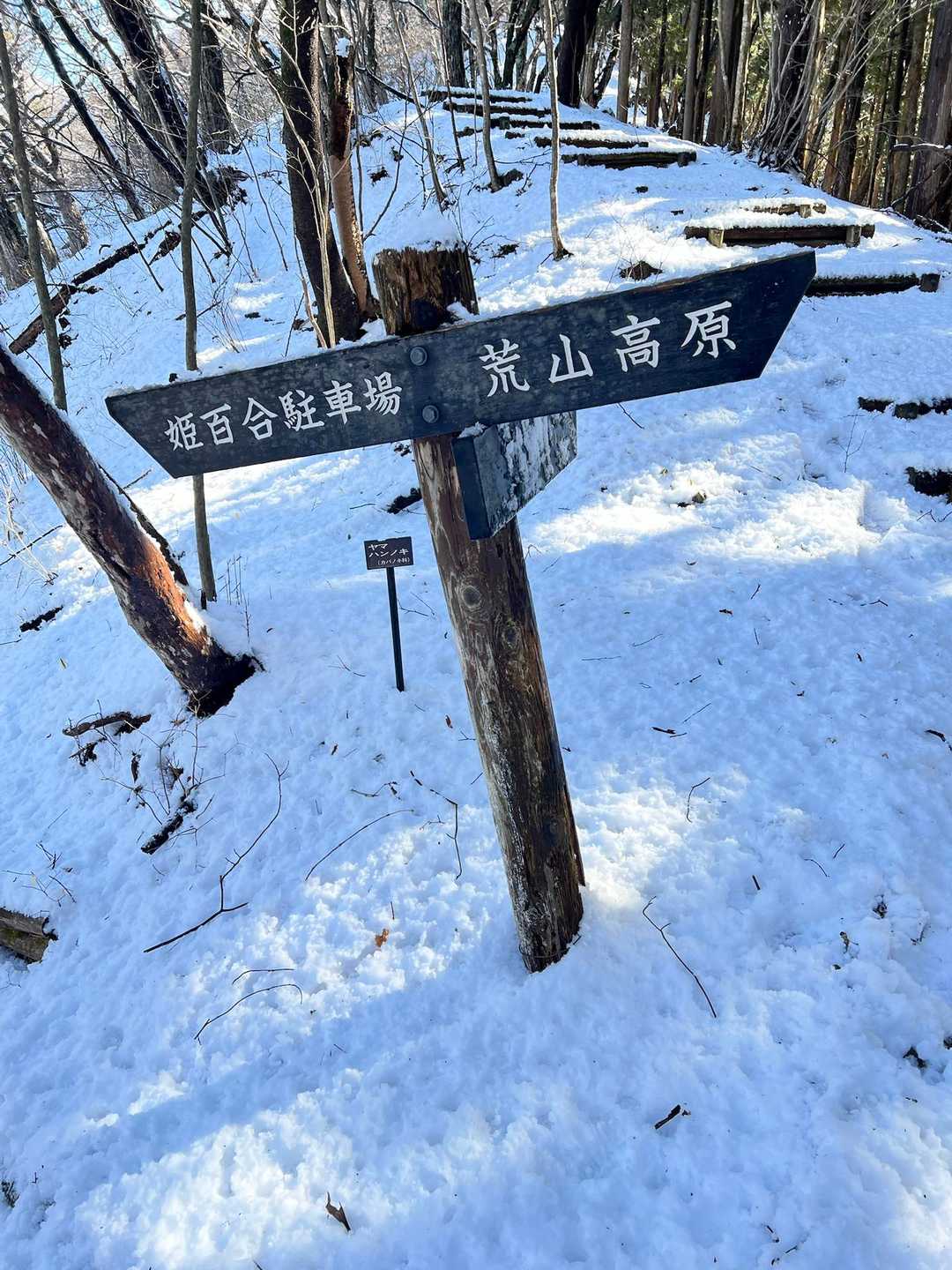荒山高原登山口-荒山高原-火起山 往復コースの写真