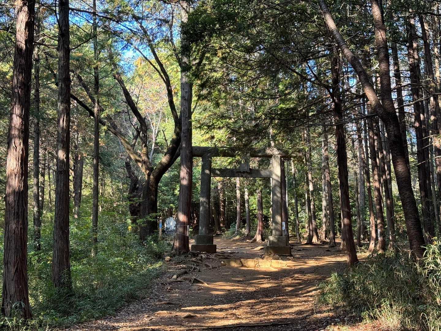 日和田山登山口-金刀比羅神社-日和田山-高指山 往復コースの写真