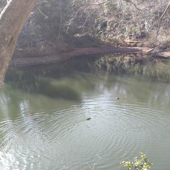 「震生湖」
関東大震災での地すべりで、沢が堰き止められてできたとのこと。
寺田寅彦先生が測量調査したとか。。。