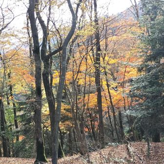 そろそろゴールしてからの計画も気になるが🤔帰りはコミニティバスでスタート地点へ🚍