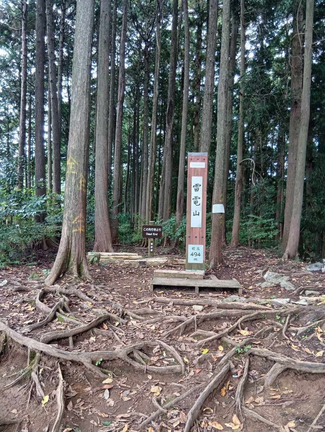 軍畑駅-青梅丘陵ハイキングコース入口-雷電山-辛垣山-名郷 縦走コースの写真