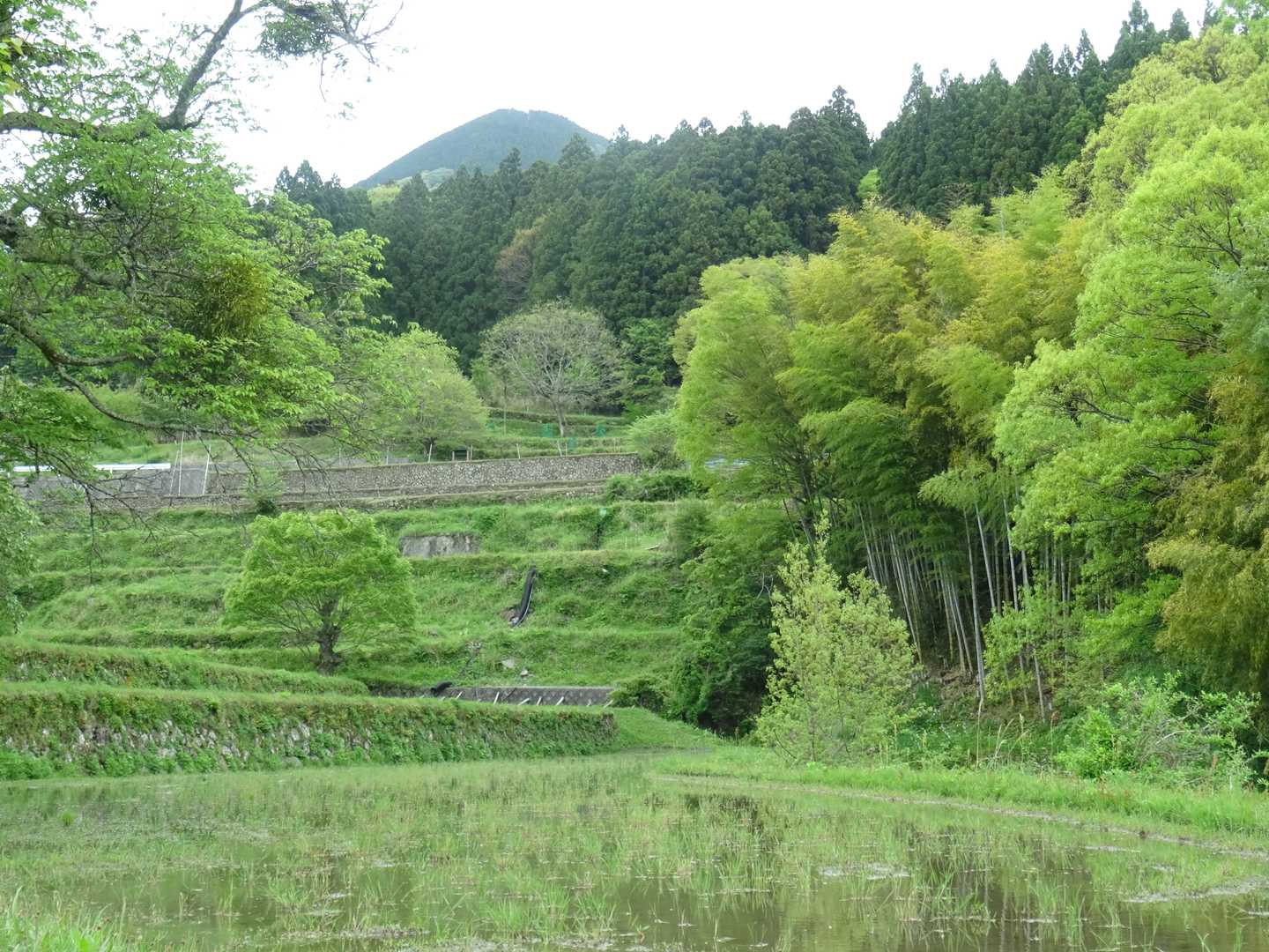 大洞山 往復コースの写真