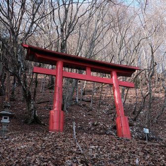稲含山の登山道
⛩️で挨拶してスタート