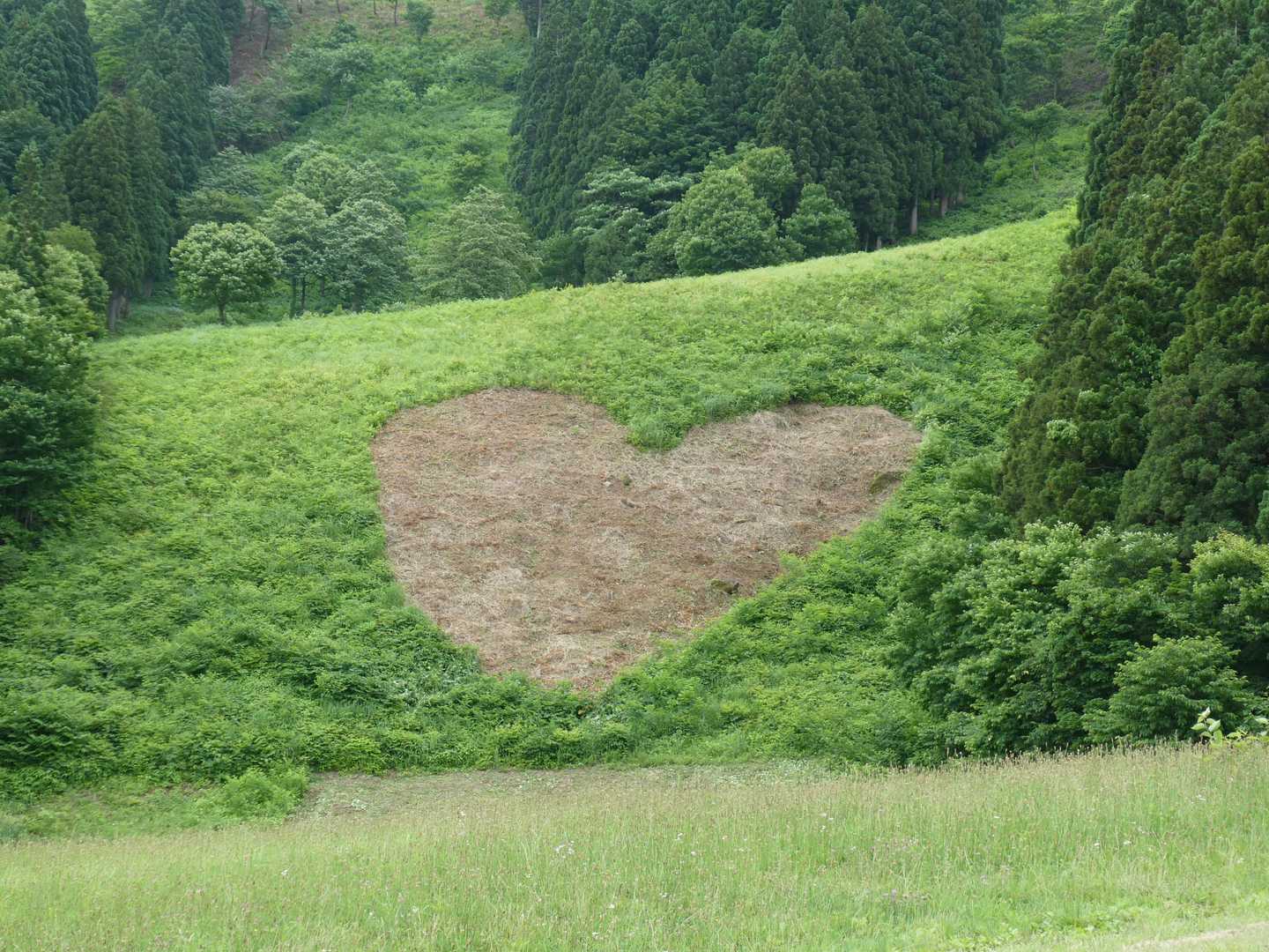 あわすの♡

ありがとう😊