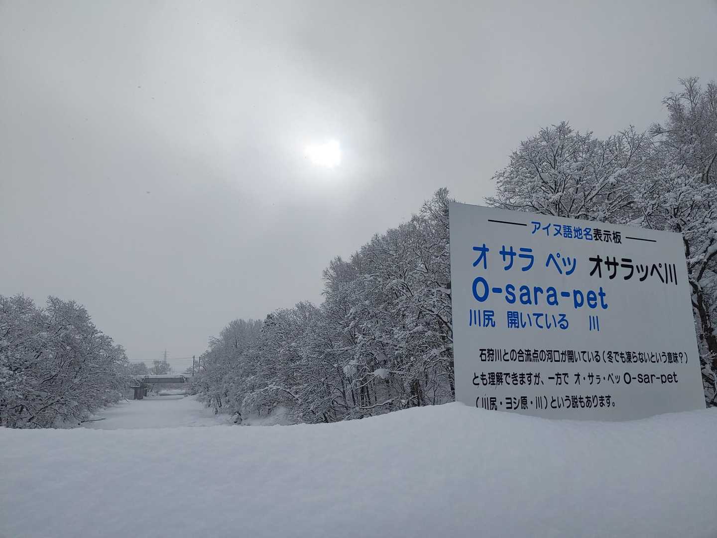 少し明るくなってきたね✨
川には鹿🐾多数