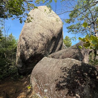 これが三石(みついわ)所以の🪨岩たちだと思う。。違うかなぁ。。